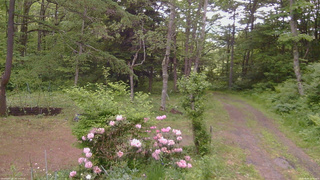 長野県菅平高原 ゆたか山荘 坂上 2026/06/04 12:45