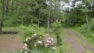 長野県菅平高原 ゆたか山荘 坂上 2026/06/04 13:00