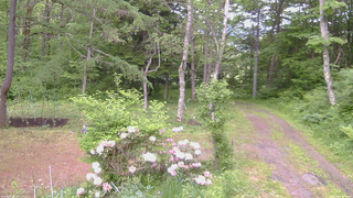 長野県菅平高原 ゆたか山荘 坂上 2026/06/04 13:45