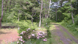 長野県菅平高原 ゆたか山荘 坂上 2026/06/04 14:15