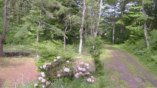 長野県菅平高原 ゆたか山荘 坂上 2026/06/04 14:30