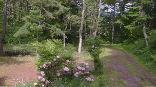 長野県菅平高原 ゆたか山荘 坂上 2026/06/04 14:45