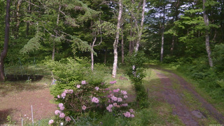 長野県菅平高原 ゆたか山荘 坂上 2026/06/04 15:00