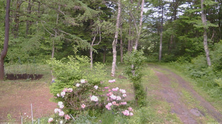長野県菅平高原 ゆたか山荘 坂上 2026/06/04 15:15
