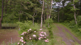 長野県菅平高原 ゆたか山荘 坂上 2026/06/04 16:15