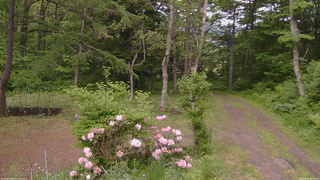 長野県菅平高原 ゆたか山荘 坂上 2026/06/04 16:30