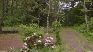 長野県菅平高原 ゆたか山荘 坂上 2026/06/04 16:45