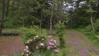 長野県菅平高原 ゆたか山荘 坂上 2026/06/04 17:30