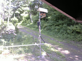 長野県菅平高原 ゆたか山荘 南側 2026/06/05 14:30