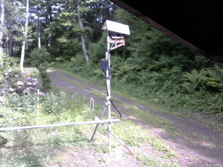 長野県菅平高原 ゆたか山荘 南側 2026/06/05 15:30