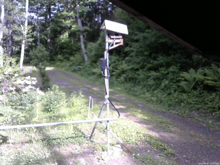 長野県菅平高原 ゆたか山荘 南側 2026/06/05 15:45