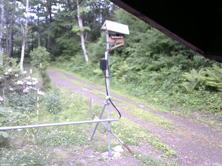 長野県菅平高原 ゆたか山荘 南側 2026/06/05 16:45