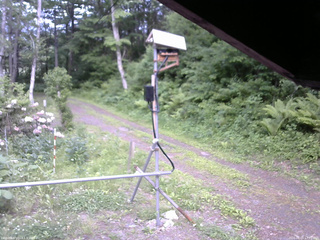 長野県菅平高原 ゆたか山荘 南側 2026/06/05 17:30