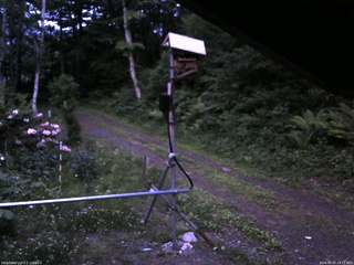 長野県菅平高原 ゆたか山荘 南側 2026/06/05 19:15