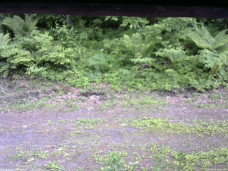 長野県菅平高原 ゆたか山荘 東側(坂下) 2026/06/05 16:45