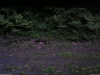 長野県菅平高原 ゆたか山荘 東側(坂下) 2026/06/05 19:15