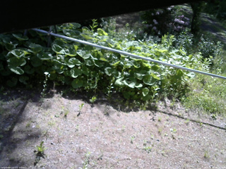 長野県菅平高原 ゆたか山荘 駐車場 2026/06/05 08:15