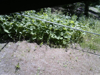 長野県菅平高原 ゆたか山荘 駐車場 2026/06/05 09:00