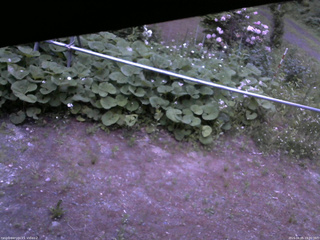 長野県菅平高原 ゆたか山荘 駐車場 2026/06/05 19:00