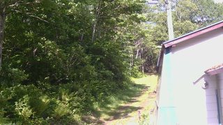 長野県菅平高原 ゆたか山荘 ゆたか山荘 2026/06/05 07:45