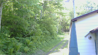 長野県菅平高原 ゆたか山荘 ゆたか山荘 2026/06/05 13:00