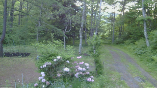 長野県菅平高原 ゆたか山荘 坂上 2026/06/05 05:00