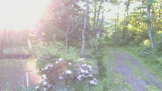 長野県菅平高原 ゆたか山荘 坂上 2026/06/05 05:15