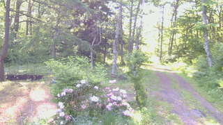 長野県菅平高原 ゆたか山荘 坂上 2026/06/05 06:00