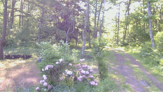 長野県菅平高原 ゆたか山荘 坂上 2026/06/05 06:15