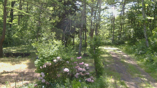 長野県菅平高原 ゆたか山荘 坂上 2026/06/05 08:00