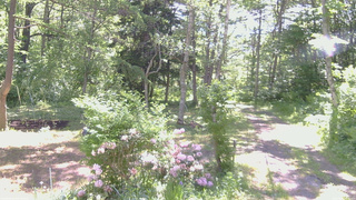 長野県菅平高原 ゆたか山荘 坂上 2026/06/05 09:00