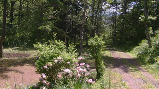 長野県菅平高原 ゆたか山荘 坂上 2026/06/05 10:15