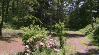 長野県菅平高原 ゆたか山荘 坂上 2026/06/05 11:15