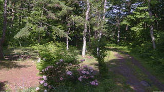 長野県菅平高原 ゆたか山荘 坂上 2026/06/05 14:45