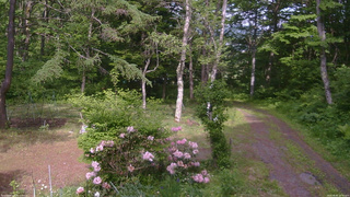 長野県菅平高原 ゆたか山荘 坂上 2026/06/05 15:00