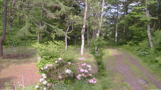 長野県菅平高原 ゆたか山荘 坂上 2026/06/05 15:15