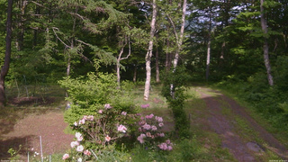 長野県菅平高原 ゆたか山荘 坂上 2026/06/05 15:30