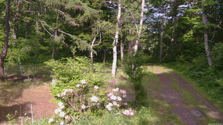 長野県菅平高原 ゆたか山荘 坂上 2026/06/05 15:45