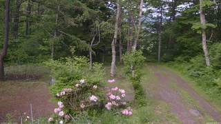 長野県菅平高原 ゆたか山荘 坂上 2026/06/05 16:45