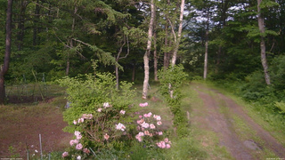 長野県菅平高原 ゆたか山荘 坂上 2026/06/05 17:00