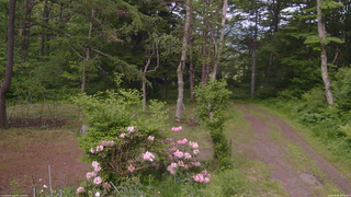 長野県菅平高原 ゆたか山荘 坂上 2026/06/05 17:15