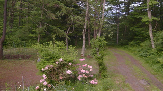 長野県菅平高原 ゆたか山荘 坂上 2026/06/05 17:30