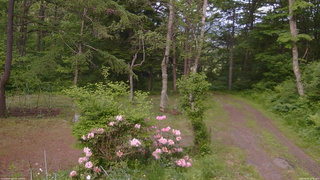 長野県菅平高原 ゆたか山荘 坂上 2026/06/05 17:45
