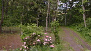 長野県菅平高原 ゆたか山荘 坂上 2026/06/05 18:15