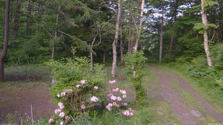 長野県菅平高原 ゆたか山荘 坂上 2026/06/05 18:30