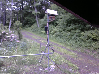 長野県菅平高原 ゆたか山荘 南側 2026/06/06 05:15