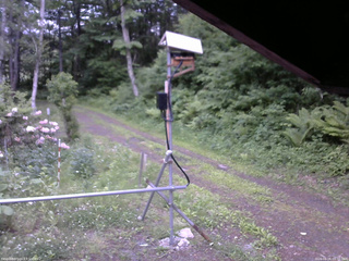 長野県菅平高原 ゆたか山荘 南側 2026/06/06 05:30