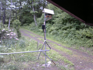 長野県菅平高原 ゆたか山荘 南側 2026/06/06 06:00