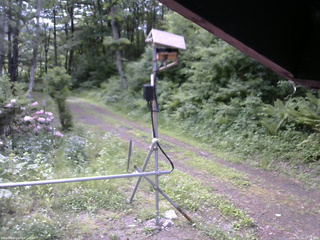 長野県菅平高原 ゆたか山荘 南側 2026/06/06 07:15