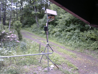 長野県菅平高原 ゆたか山荘 南側 2026/06/06 07:30